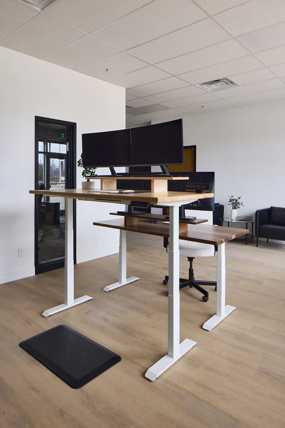 Office showroom with adjustable desks, chairs, casters and a light wood floor