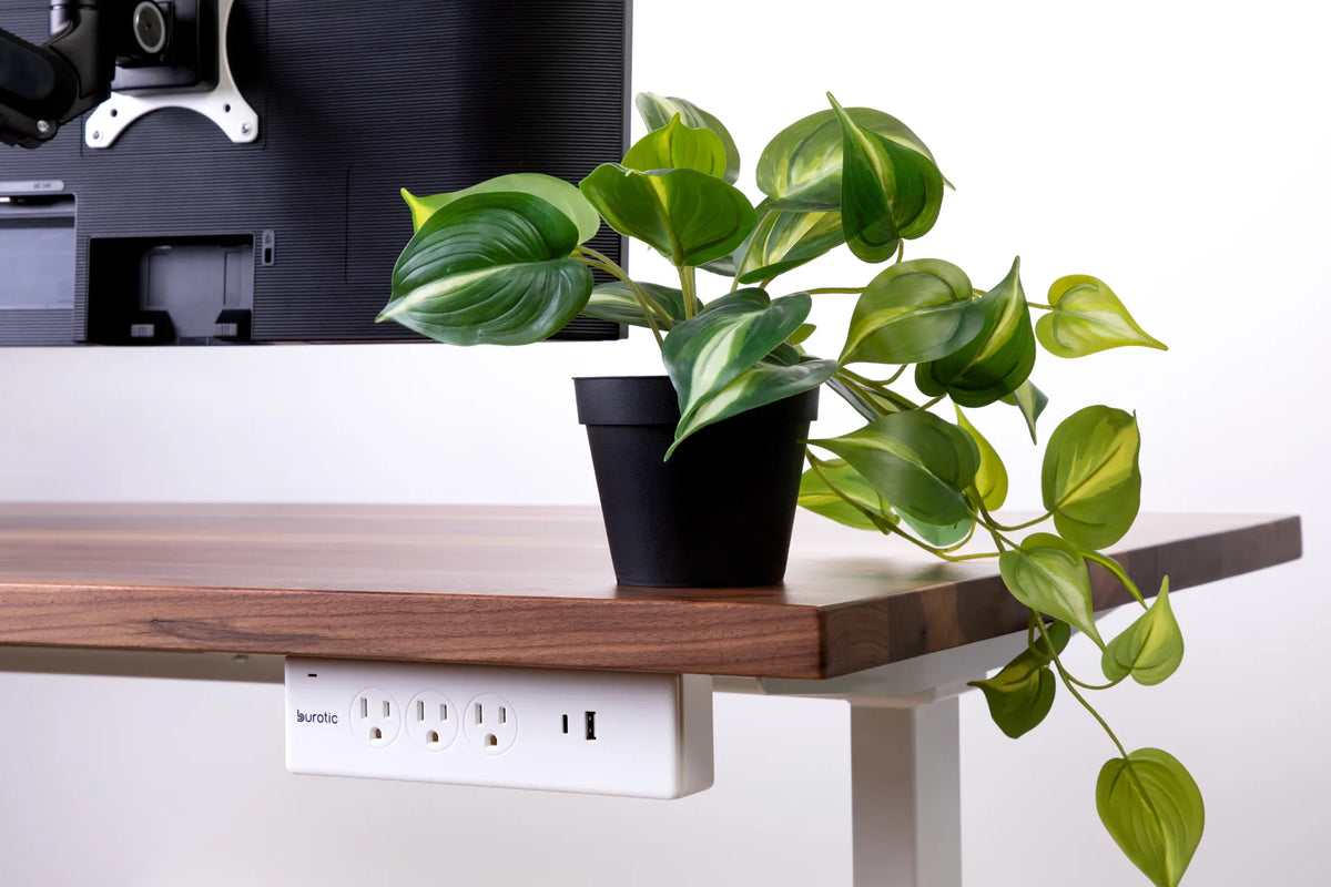 Trailing green plant on a wood standing desk above a white under-desk power bar