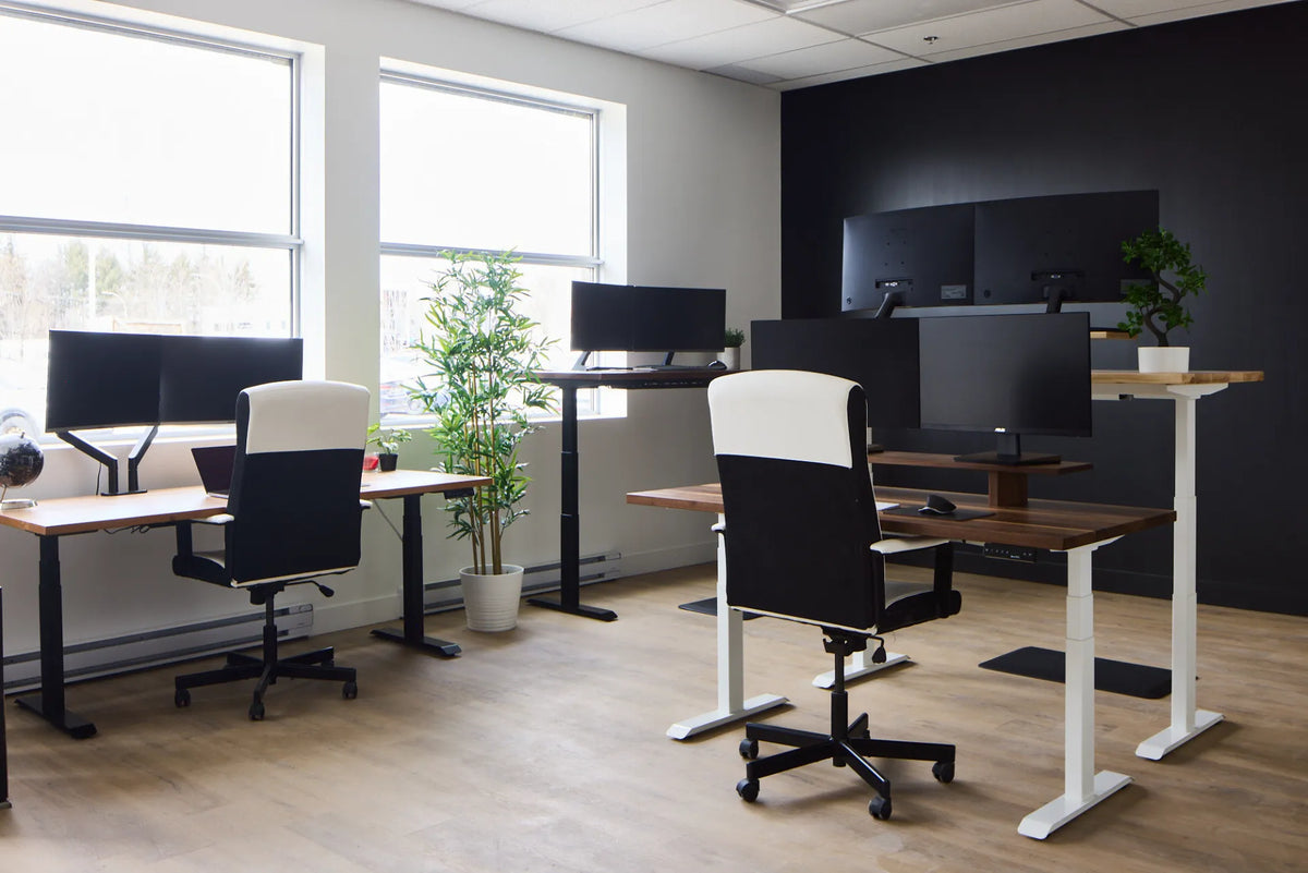 Bright shared office with several wood-top height-adjustable desks arranged near windows and a dark accent wall