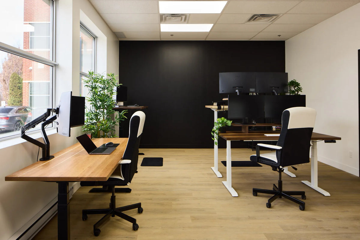 Shared office with several wood adjustable desks, white and black chairs, multiple monitors, plants and a clear central aisle