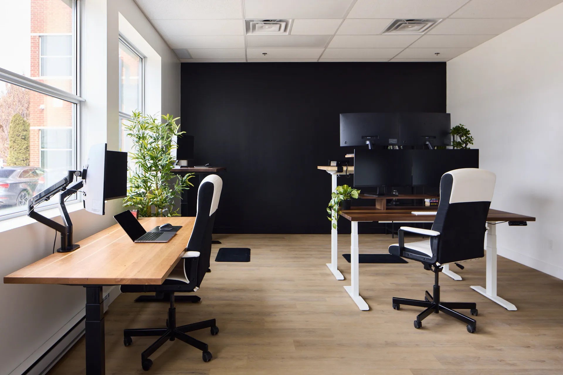 Shared office with several wood standing desks, monitor setups, plants and black-and-white chairs