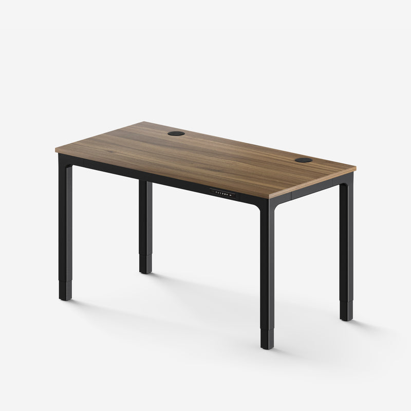 Wood Laminate Standing Desk