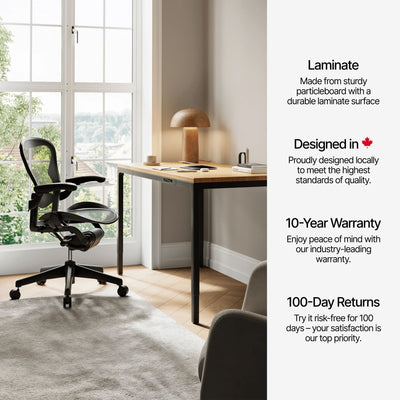 Leva Laminate Standing Desk