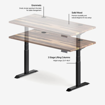 Aspire Solid Wood Standing Desk