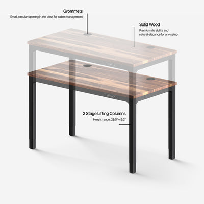 Leva Solid Wood Standing Desk